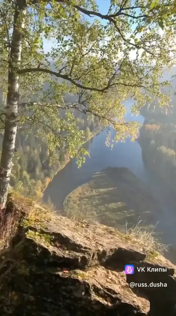 vkclips_20261028100111