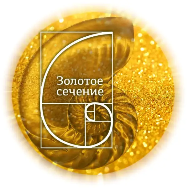 ООО "Золотое сечение"