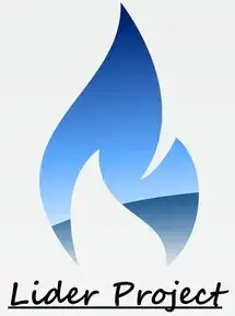 Лидер Проект