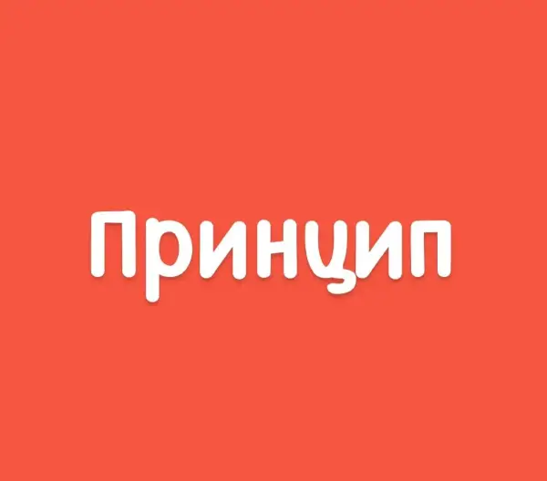 Принцип