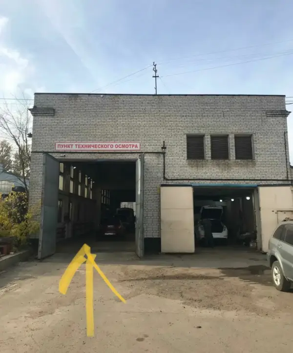 Сайга Виллс