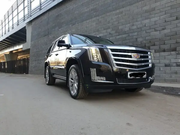 LeoDetailing