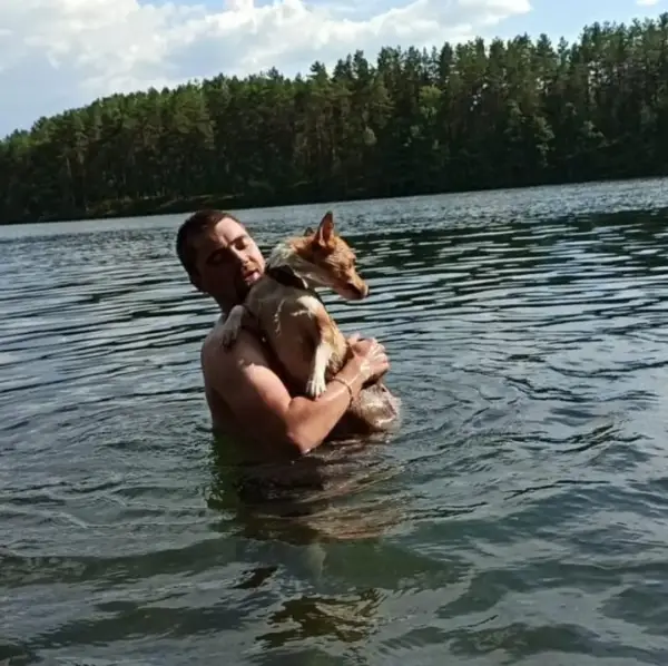 Сергей Гордеев