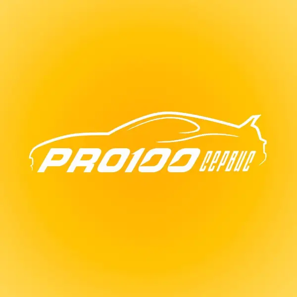 PRO100 Service