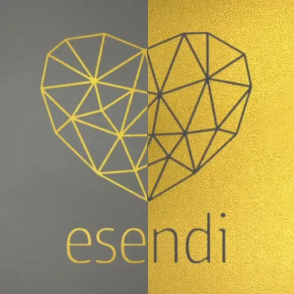 Centr Esendi