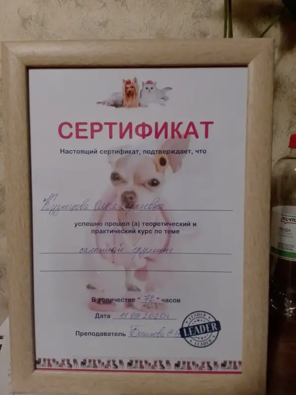 Ольга Кузнецова