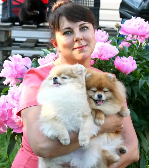 Елена Амбуль