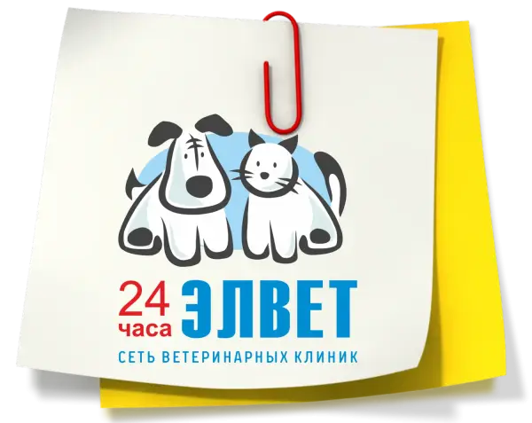 ЭЛВЕТ
