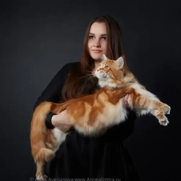 Наталия Хованкая