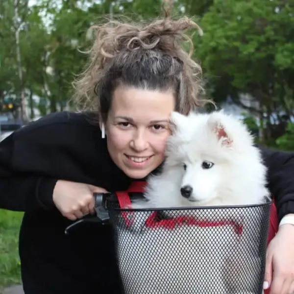 Елена Столяренко