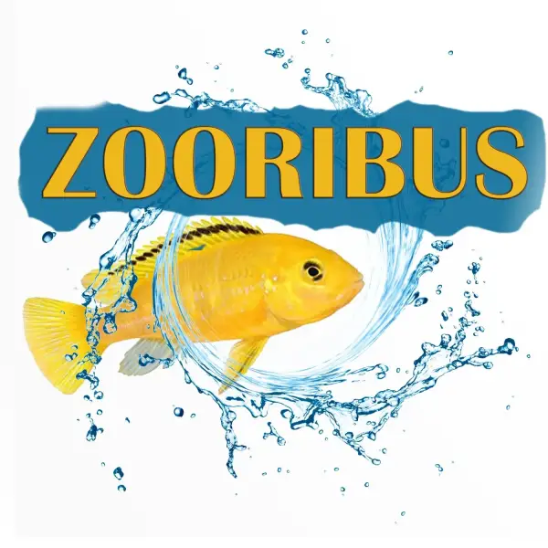 Зоомагазин Zooribus